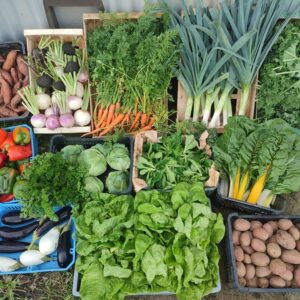 Panier de légumes bio et de saison